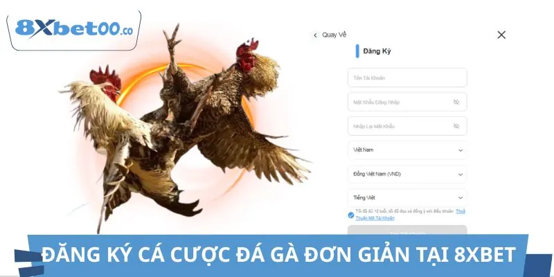Gia nhập đường đua cá cược 8XBET dễ dàng chỉ với vài thao tác